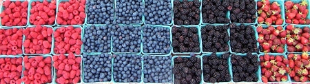 A rainbow of berries from Sidhu Farms. Photo copyright 2010 by Zachary D. Lyons.