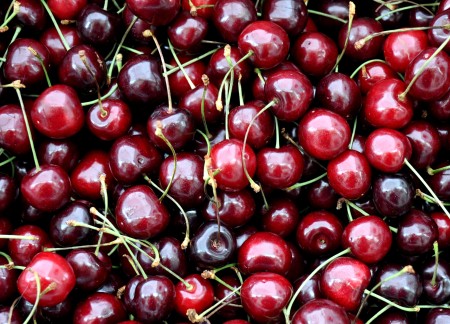 Bing cherries from Martin Family Orchards. Photo copyright 2012 by Zachary D. Lyons.