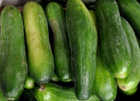 Iznik cucumbers from Alvarez Organic Farms. Photo copyright 2013 by Zachary D, Lyons.