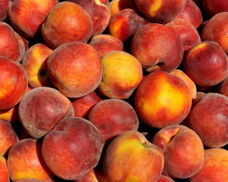 Sugar Time peaches from Collins Family Orchards. Photo copyright 2014 by Zachary D. Lyons.