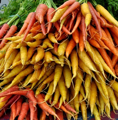 A rainbow of carrots from Tani Creek Farm. Photo copyright 2014 by Zachary D. Lyons.