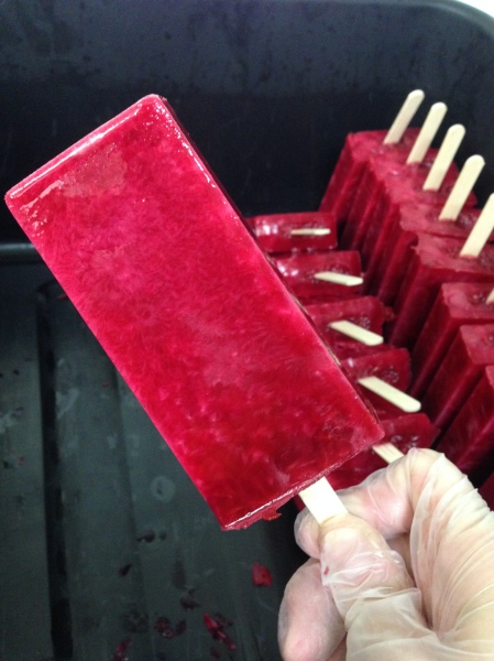 Cranberry-orange pops from Seattle Pops at Madrona Farmers Market. Copyright Zachary D. Lyons.